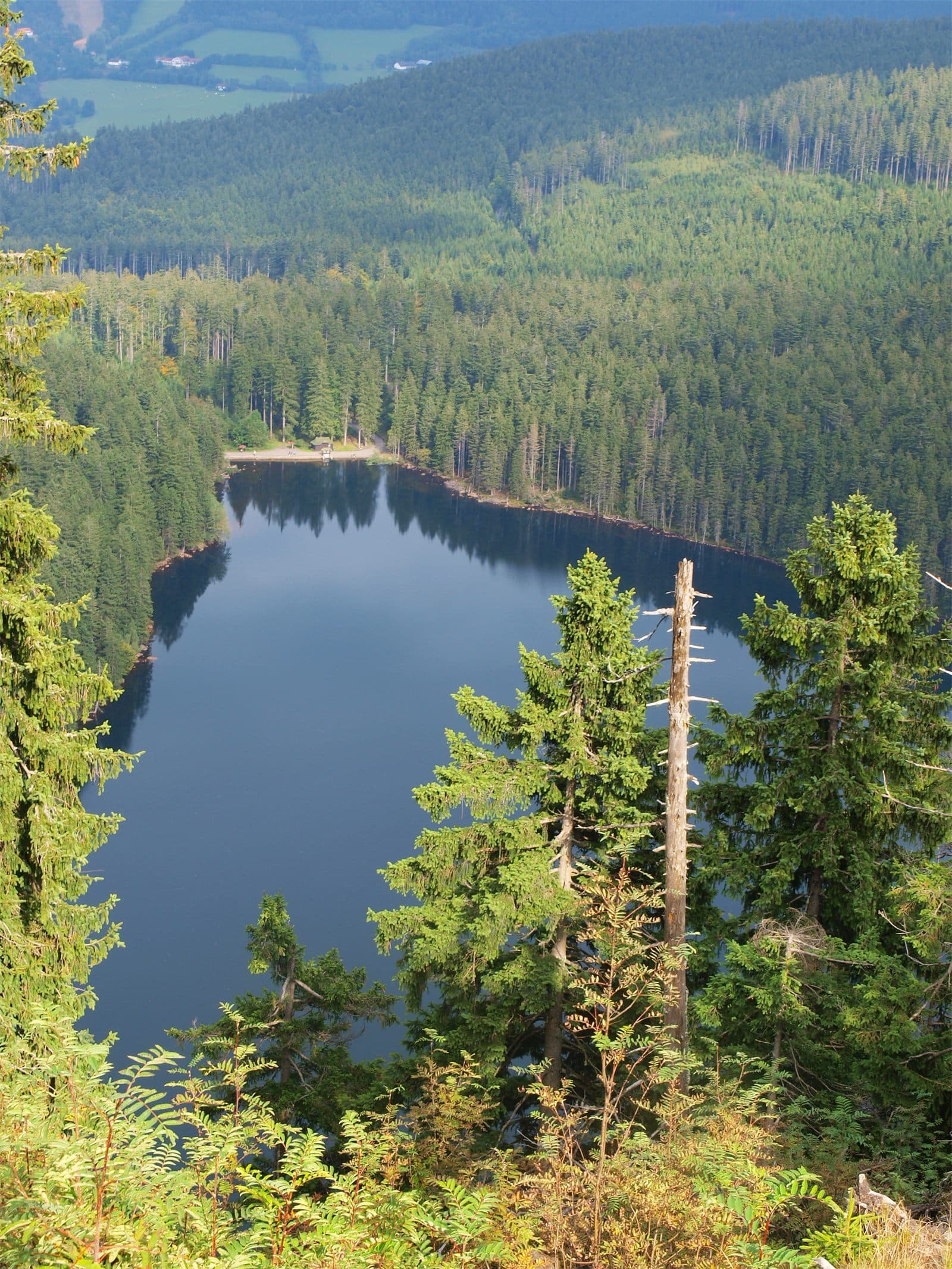 Black Lake (Šumava)