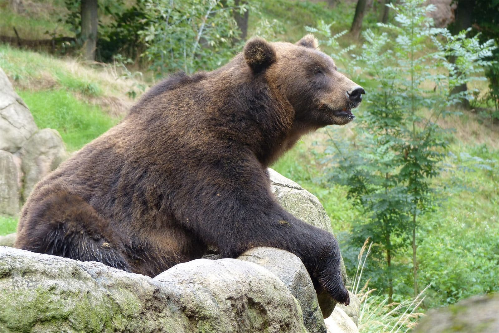 Zoo Brno