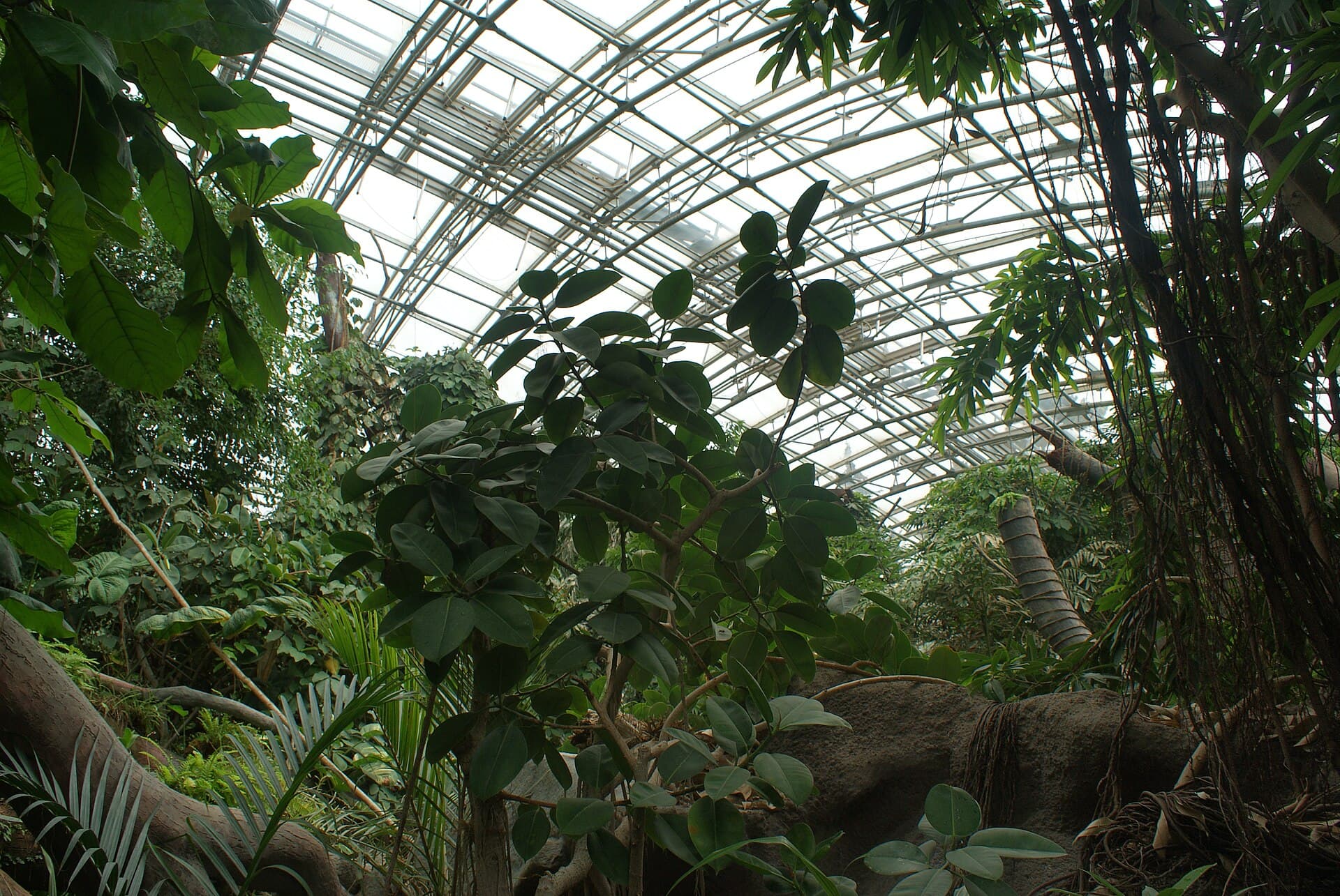 Prague Zoo
